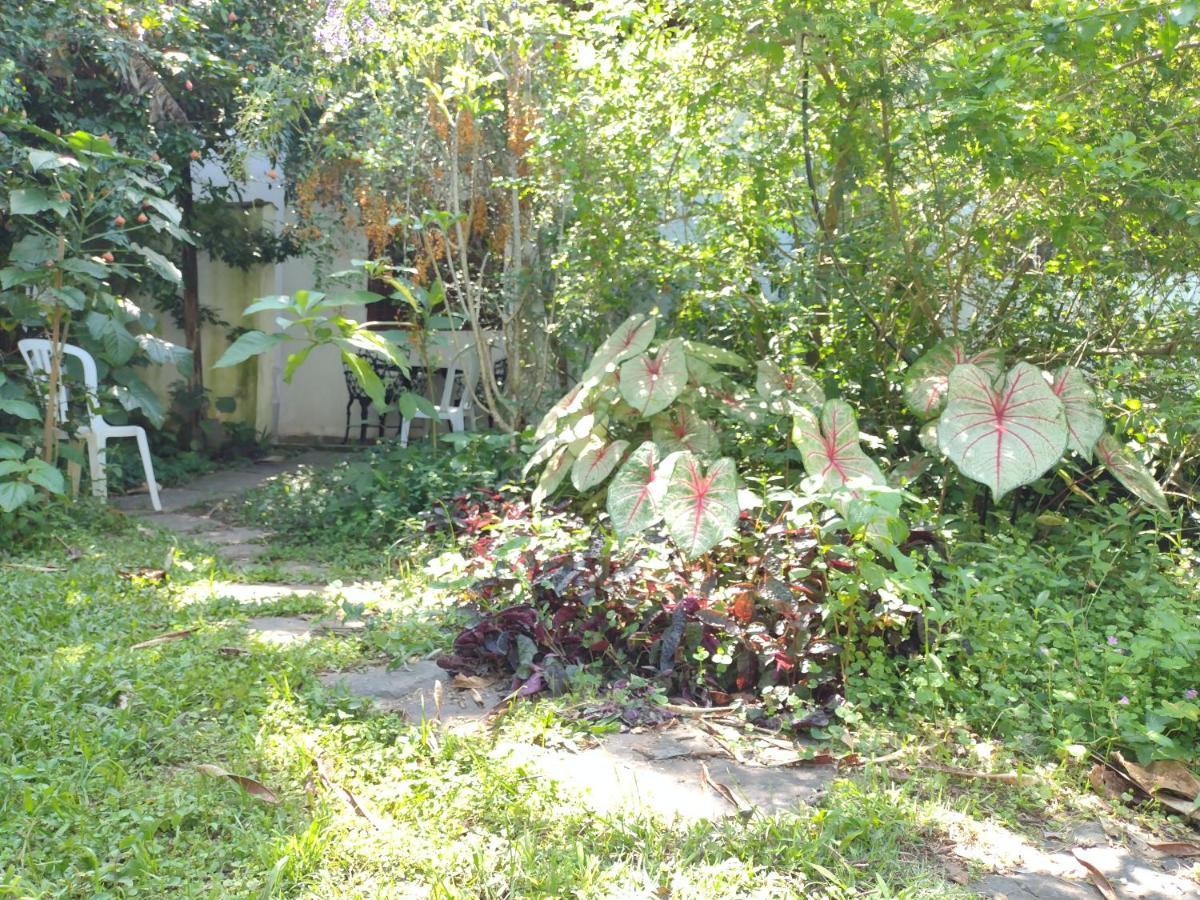 קרגואטטובה Apartamentos De Ferias Por Temporada Martim De Sa מראה חיצוני תמונה